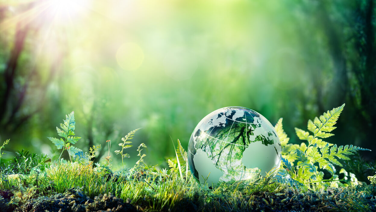 SurTec Nachhaltigkeitsbericht 2019